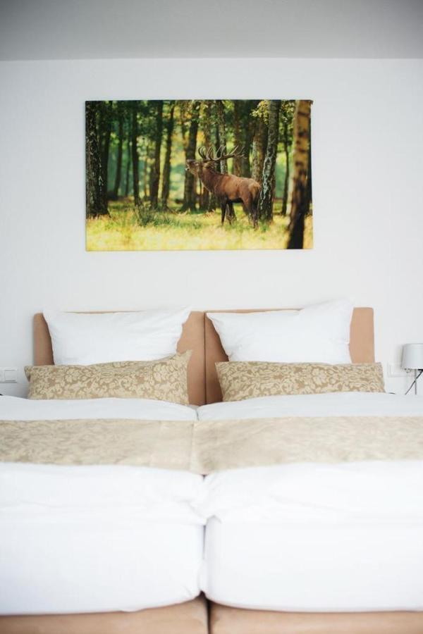 Hotel Auerhahn Nest Bad Wildbad Esterno foto